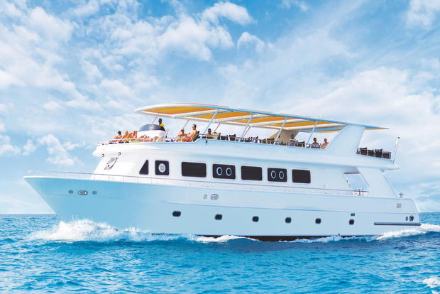 Sharm el-Sheikh: Premium Ras Mohammed & White Island-kryssning