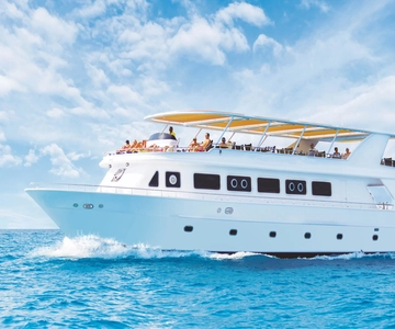 Sharm el-Sheikh: Premium Ras Mohammed & White Island Cruise