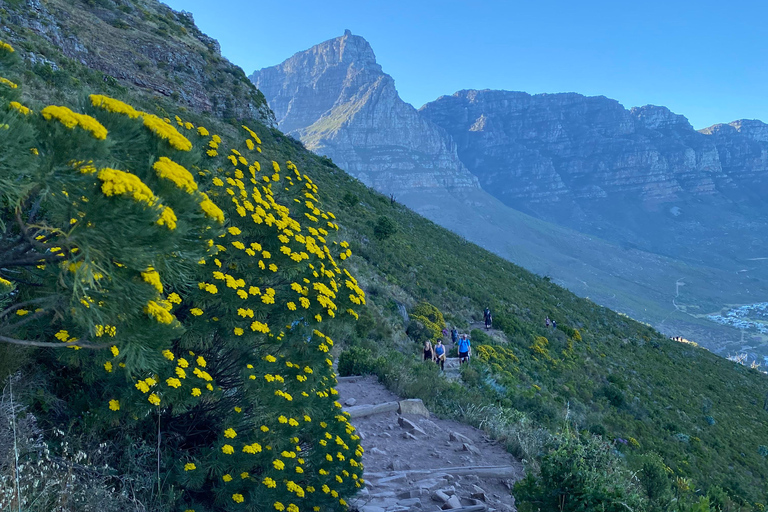 Excursión a Lion&#039;s Head: Ciudad del Cabo - Excursión al amanecer o al atardecerTour privado - Amanecer o Atardecer con servicio de recogida y regreso
