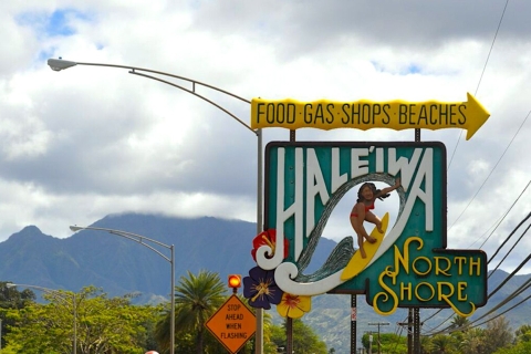 Oahu: visite touristique de la côte nord et de la plantation d'ananasOahu: visite touristique de North Shore Beach et Hanauma