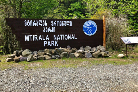 From Batumi: Mtirala National Park Guided Hike, Cable Car