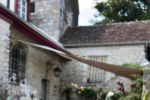 From Paris: Provins Medieval Town Day Trip