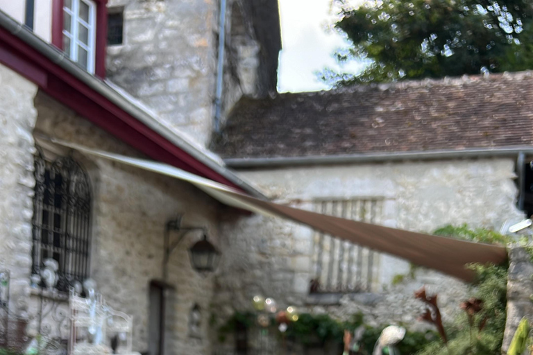From Paris: Provins Medieval Town Day Trip