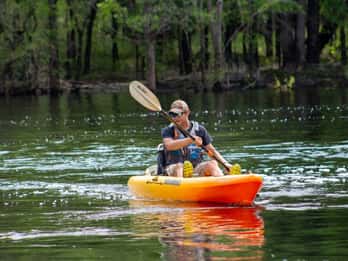 Myrtle Beach: Waccamaw River Kayak Island Tour