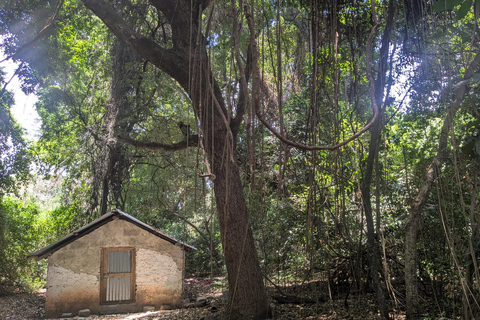 قرية ماكوندوتشي: جولة ثقافية وروحية مع وجبة غداءقرية ماكوندوتشي: جولة ثقافية وروحية مع الغداء