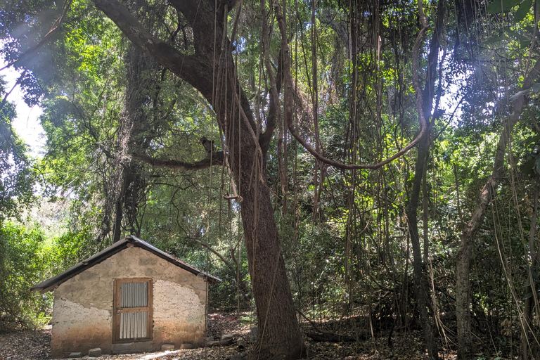 قرية ماكوندوتشي: جولة ثقافية وروحية مع وجبة غداءقرية ماكوندوتشي: جولة ثقافية وروحية مع الغداء