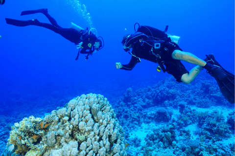 Plongée sous-marine