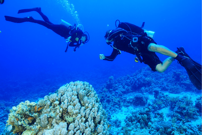 Plongée sous-marine