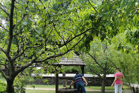 From Craiova: Bucharest Day Tour