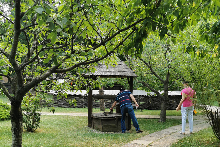 From Craiova: Bucharest Day Tour