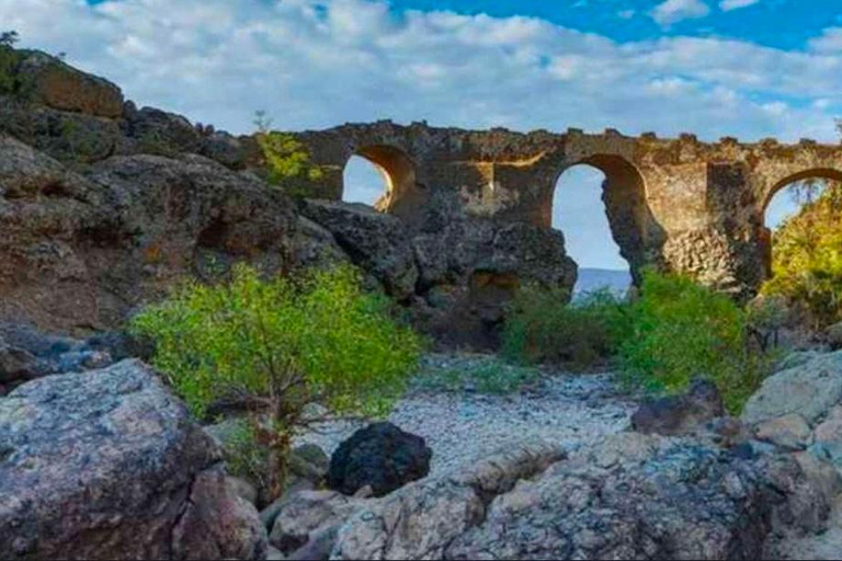 From Addis Ababa: Debre Libanos Monastery and Blue Nile …