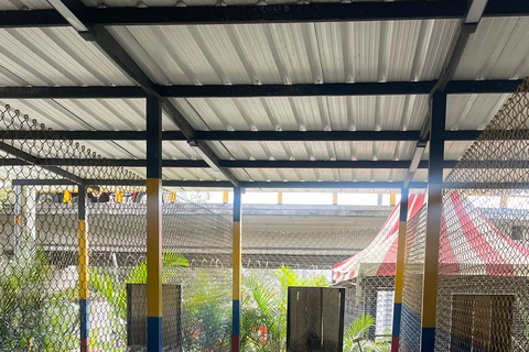 Medellin: Tejo Sport with Food and Drinks