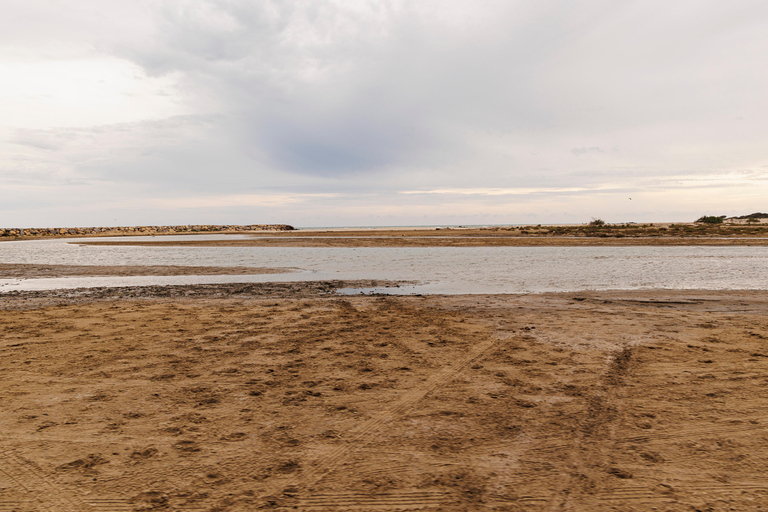 Aigues-Mortes 3H: Discover the secret Camargue in a 4x4 Full-Day