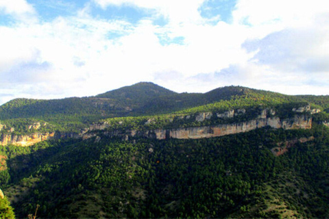 Depuis Salou : Chartreuse de Scaladei, déjeuner et vins