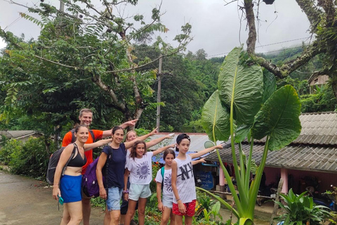 Chiang Rai: Jungle Adventure-Group Trekking & Bamboo Cooking