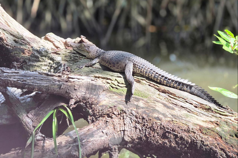Bentota: Galle Dutch Fort &amp; Southwest Coast Private Day Tour