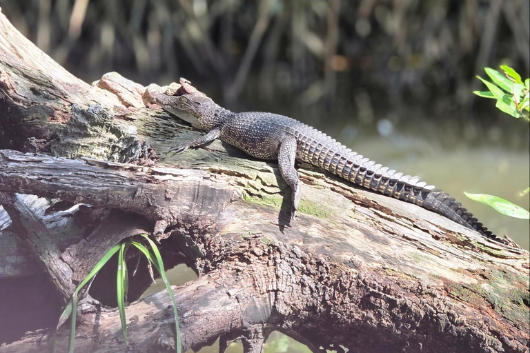 Bentota: Galle Dutch Fort &amp; Southwest Coast Private Day Tour