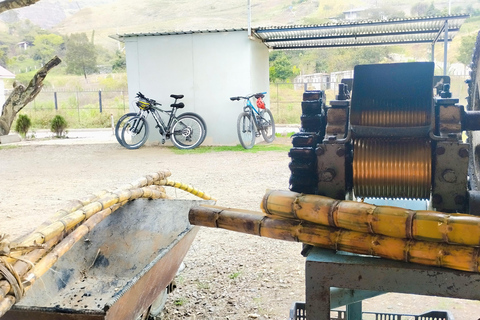 From Cuenca: Descent of the Andes by Bicycle
