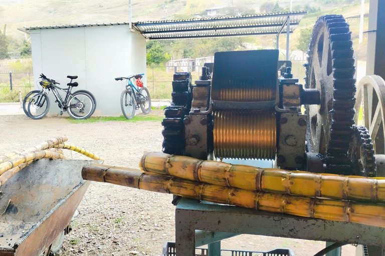 From Cuenca: Descent of the Andes by Bicycle