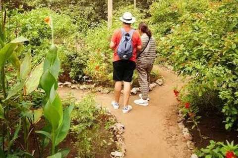 زنجبار: جولة في المدينة الحجرية وغابة جوزاني ومركز الفراشاتهذا الخيار، الاستقبال من فنادق المدينة