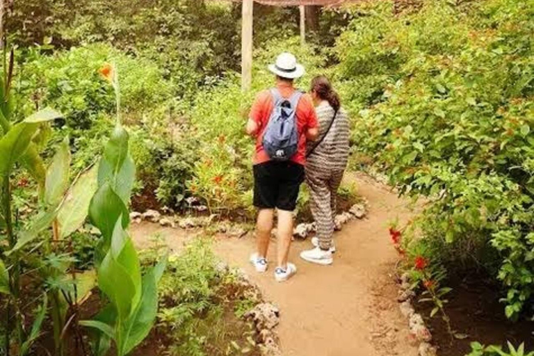 زنجبار: جولة في المدينة الحجرية وغابة جوزاني ومركز الفراشاتهذا الخيار، الاستقبال من فنادق المدينة