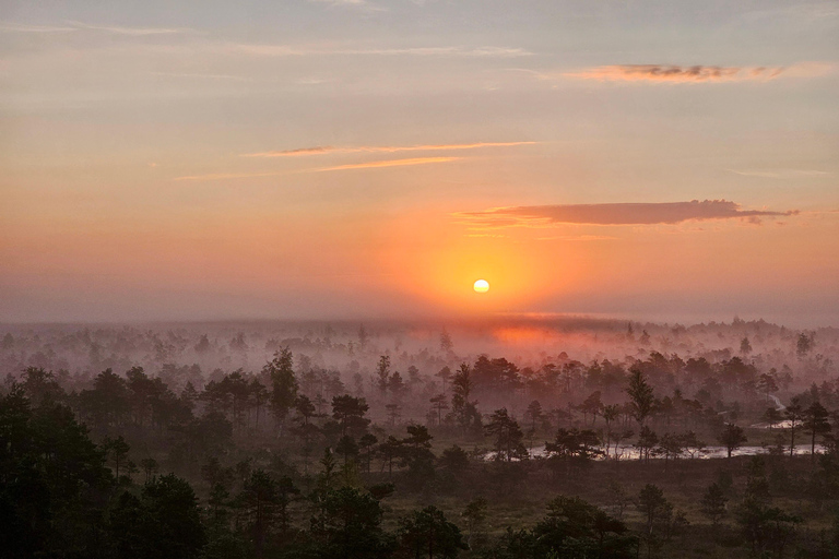 Ķemeri Great Bog With Optional Sunrise & Jūrmala Visit Ķemeri Bog Shared Small Group Tour