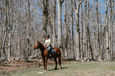 Houston: Forest Horseback Riding Along Creek Trails