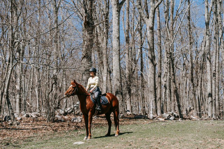 Houston: Forest Horseback Riding Along Creek Trails