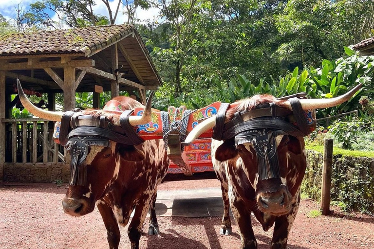 La Paz Waterfall and Cinchona Tour