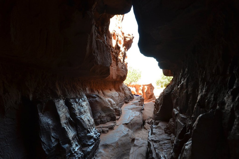 2 hour jeep tour morning or sunset Wadi Rum Desert Highlight