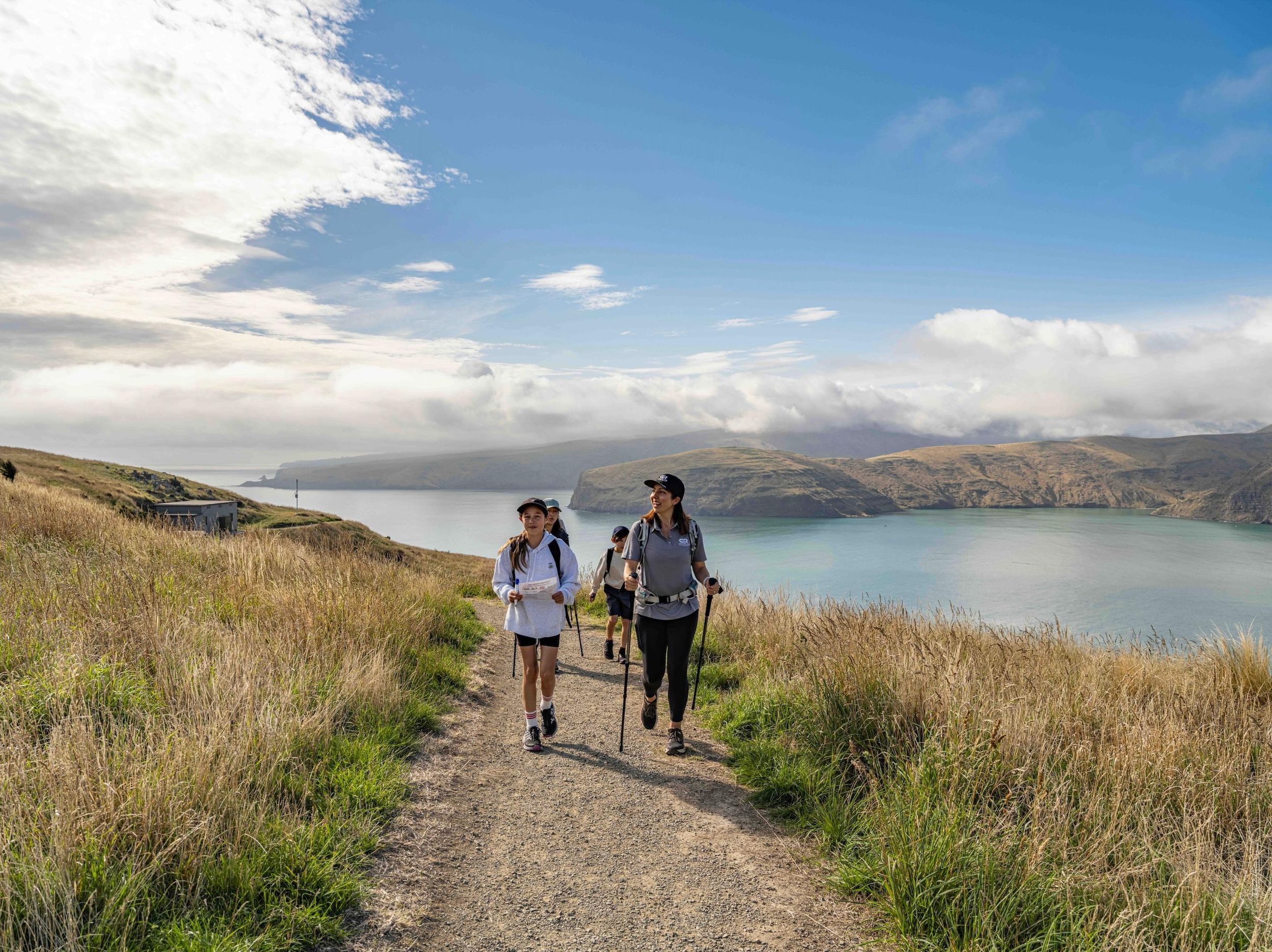 Christchurch: Geführte Wanderung an der Küste von Godley Head