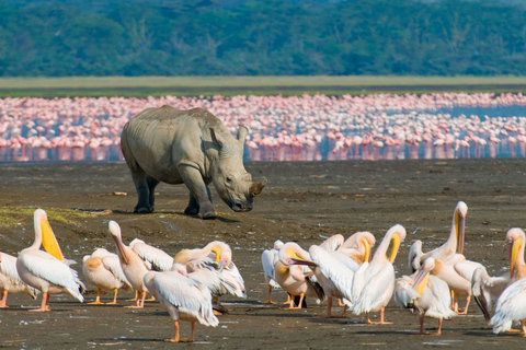 Nairobi: Lake Nakuru National Park &amp; Lake Naivasha Day Tourr