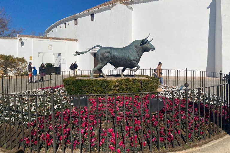 from Mijas, Malaga: Private tour Ronda incl. transfer, bullfighting arena and tapas