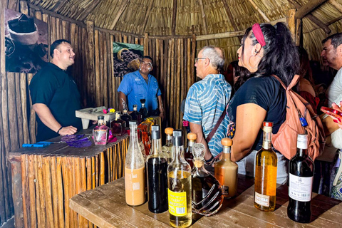 Cancun or Merida: Day of the Dead with Taco buffet Tour from Cancun Meeting points