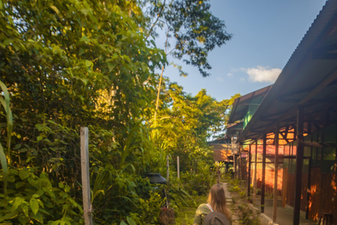 Tambopata Tour 2 days/1 night Sandoval Lake: nature and boat rides