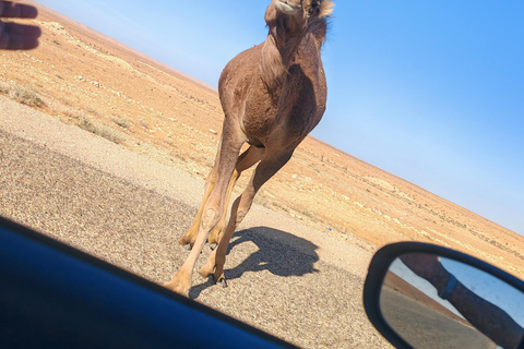 Djerba: Eine Nacht in Berberzelten.