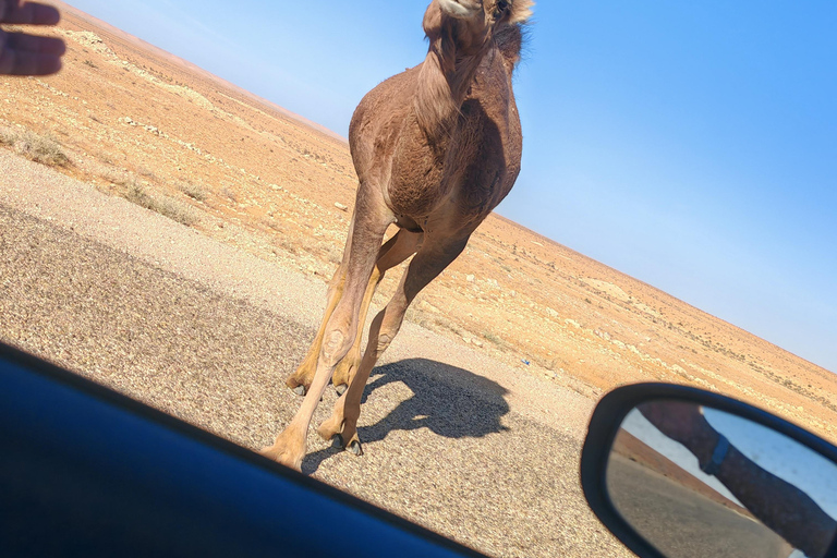 Djerba: Eine Nacht in Berberzelten.