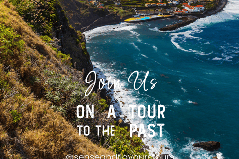 VW VAN Tours | NORDESTE