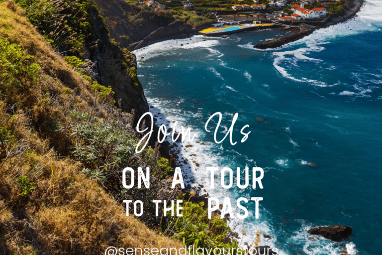 VW VAN Tours | NORDESTE