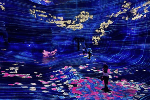 Abu Dhabi: Blue Mosque & teamLab Phenomena Tour with Entry Abudhabi: Full Day Premium Pass Tour With 24K Gold Coffee