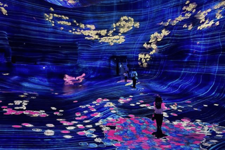 Abu Dhabi: Blue Mosque & teamLab Phenomena Tour with Entry Abudhabi: Full Day Premium Pass Tour With 24K Gold Coffee