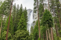 Excursión de un día guiada desde San Francisco, Parque Nacional Yosemite - Hizvo
