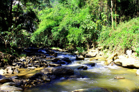 Chiang Mai : Doi Inthanon, chutes d'eau et villages tribaux