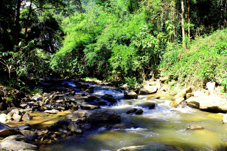 Chiang Mai: Doi Inthanon, watervallen en stamdorpentour