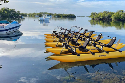 La Parguera: Excursiones en Chiliboats por la Bahía BioluminiscenteParguera: Excursiones en Chiliboats por la Bahía Bioluminiscente