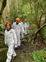 Yarra Valley, Britannia Creek Creek -ervaring - Housity