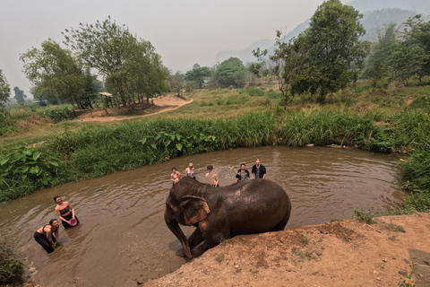 Heldag med CHIANGMAI ELEPHANT CARE och Sticky vattenfall