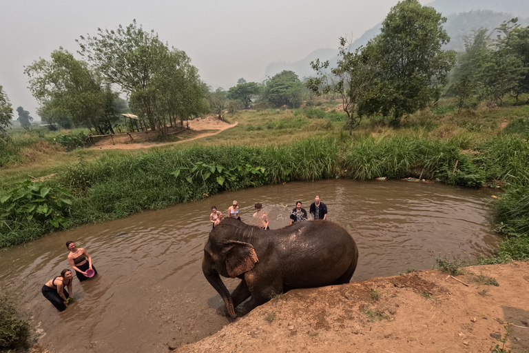 Programme de soins aux éléphants et chutes d&#039;eau collantes en vedetteJournée complète de soins aux éléphants et chute d&#039;eau collante (Programme B)