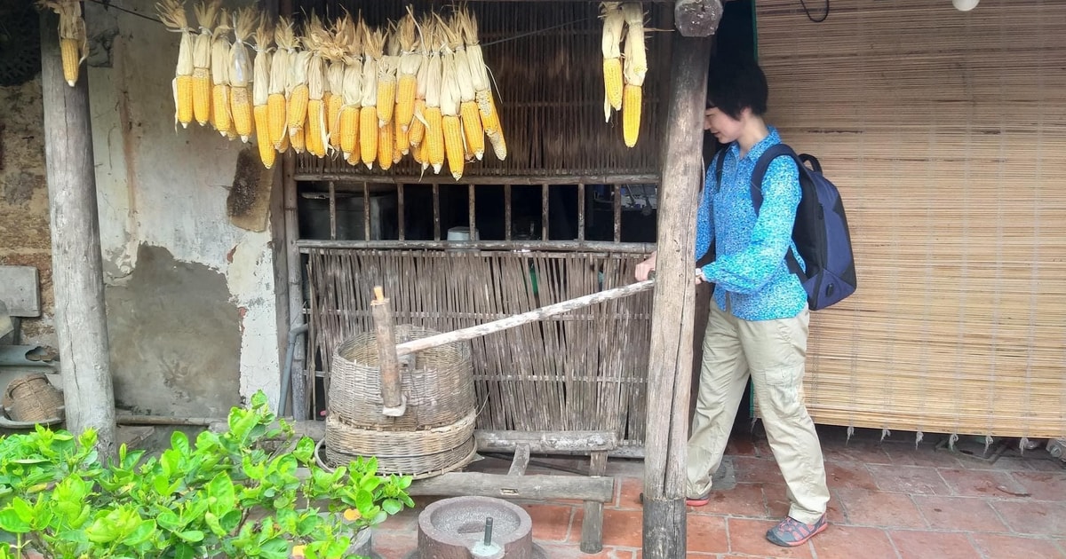 Duong Lam Ancient Village | GetYourGuide