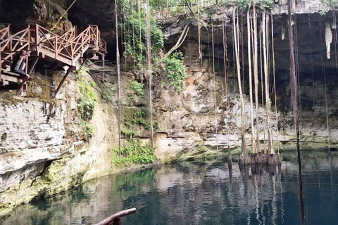 Tulum: Mayan Fauna Sightseeing at Casa Cenote